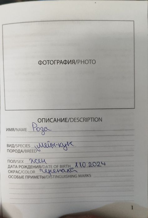 Men kun sotiladi