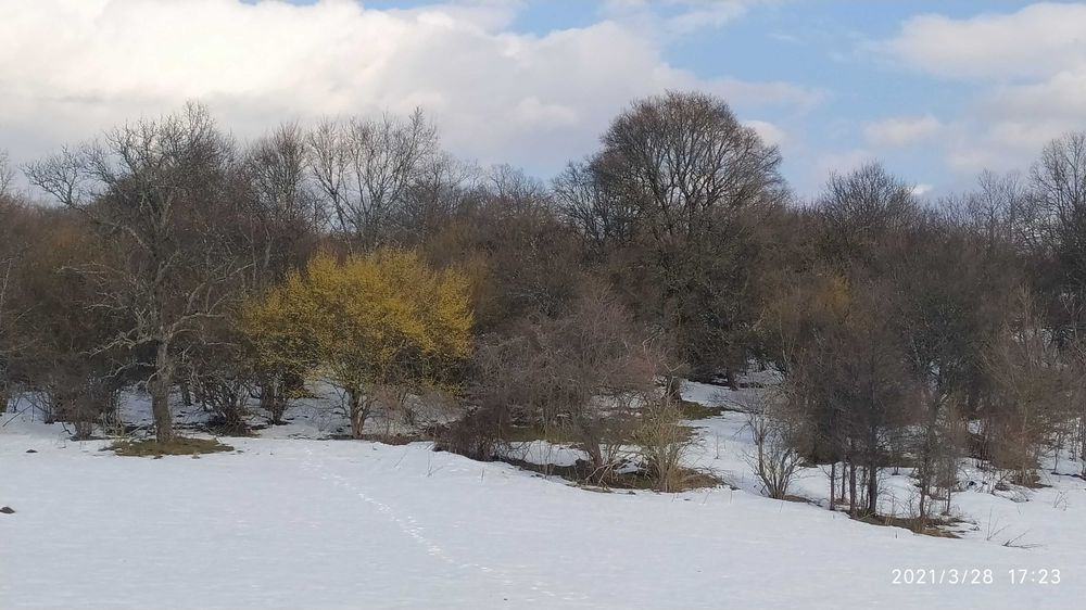 Продава се Земеделски имот в с. Бучин проход, Област София-област -  кв.м за 2040 €/дка - Снимка #2