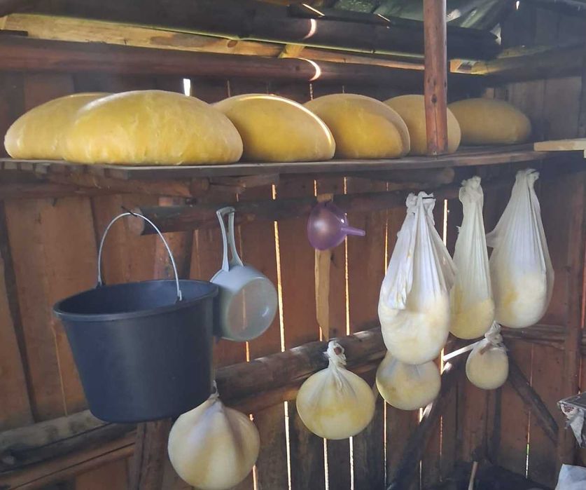 Caș din lapte de vacă