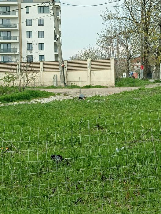 Teren INTRAVILAN pe colt BUCUREȘTI sector 5