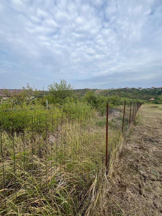 Vând URGENT teren intravilan 1000 mp str Livezilor