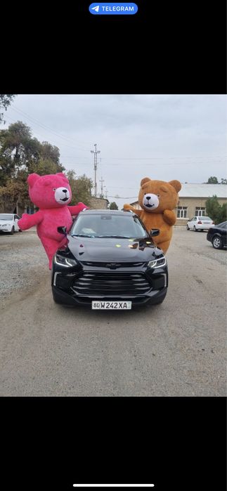 Animator va Multgeroylar !!! Eng katta tanlov Buxoroda!