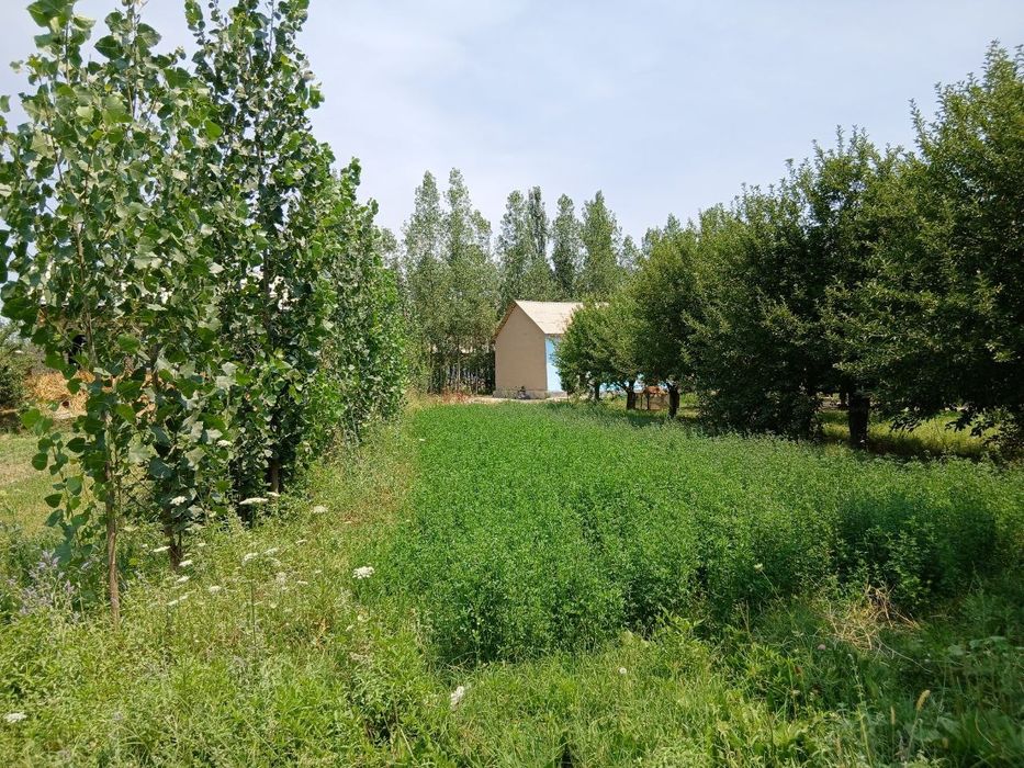 20 sotix Uy sotiladi  samarqand jomboy