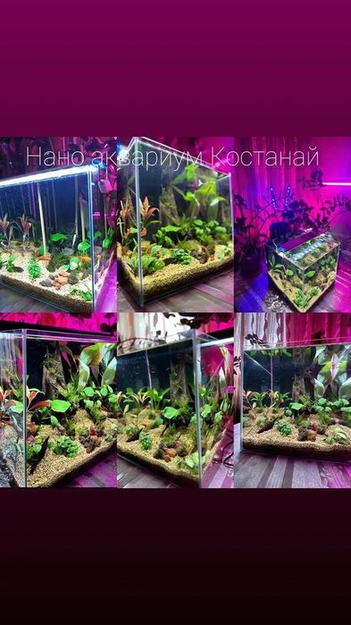 Обслуживание аквариума Костанай