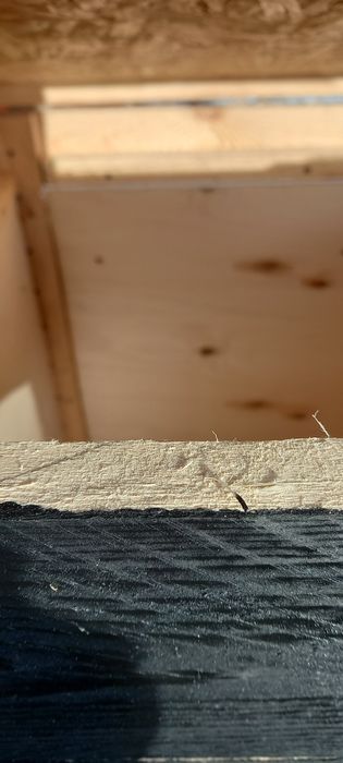 Будка собачья для средних размеров собак