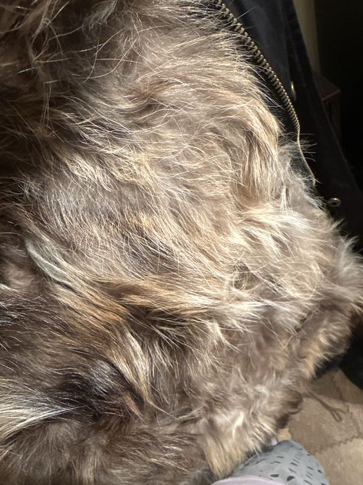 Теплый парка на зиму