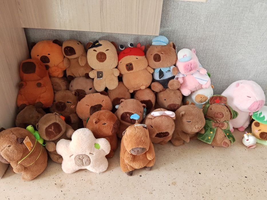 Продам всё семью