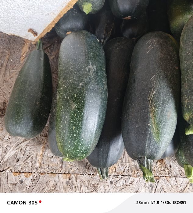 Кабачки с доставкой