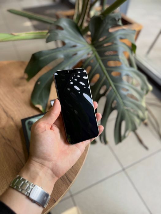 iPhone 13 Pro Green Alpine