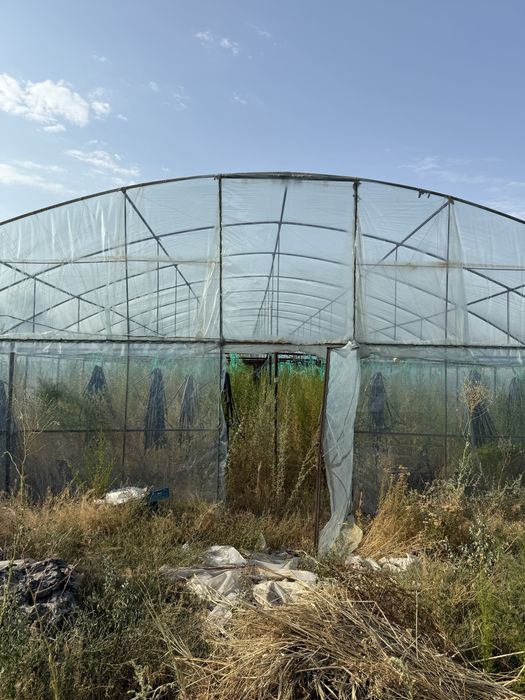 земельный участок