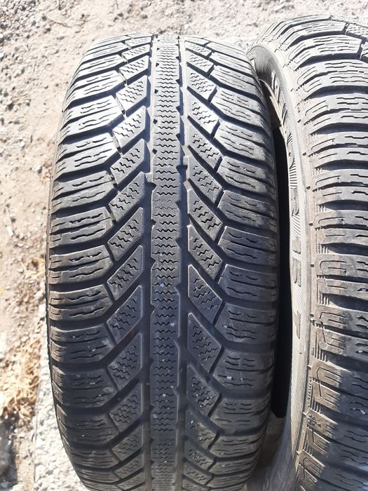 Продам шины 195/60/15 семпирит