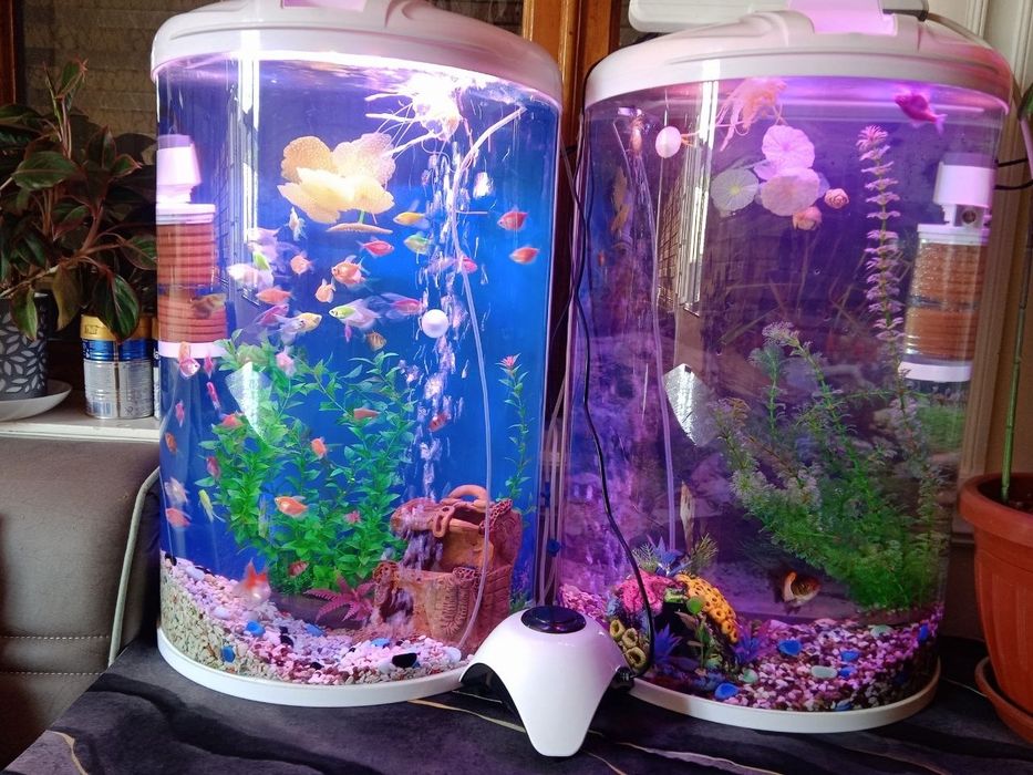 Akvarium sotiladi