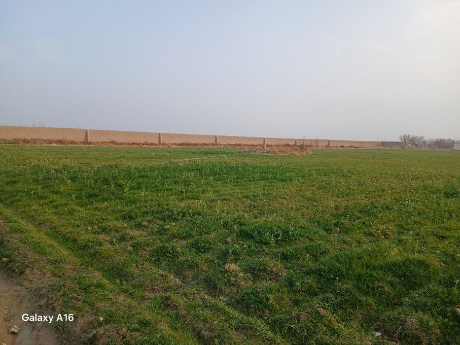 Ем хошак обори сотилади