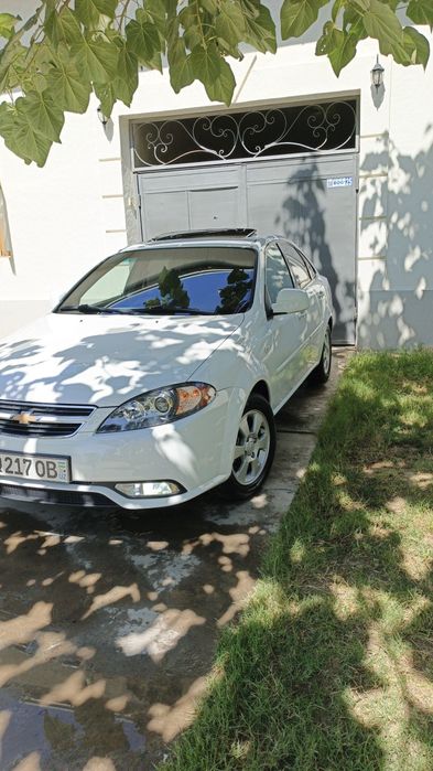 Jentra 2019 kaska top toza gen bor