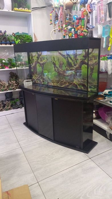 Akvarium 200 litrlik yengi sifat