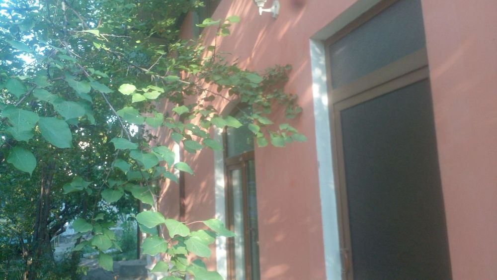 Наманган вилояти Янгиқӯрғон туманида Чортоқсой бӯйида дала-ҳовли