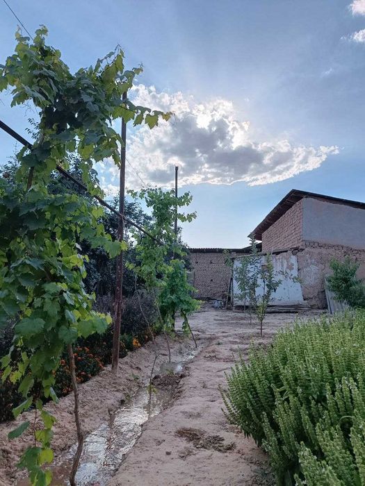 Qibray tumani, Chinobod MFY da uy(5 sotox) sotiladi.