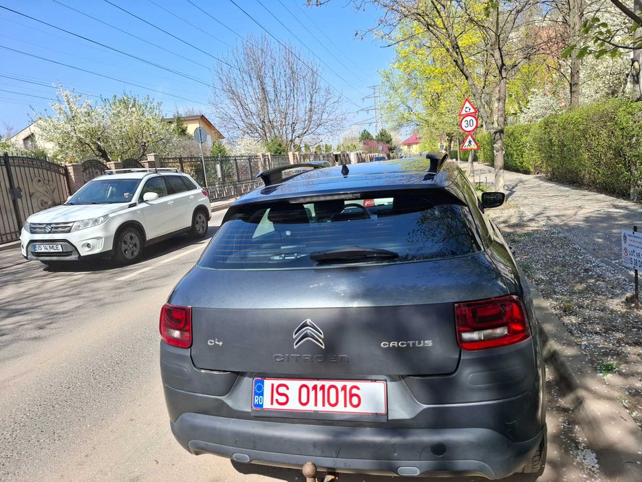 Vand Citroen cactus
