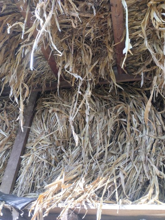 Seppa makka sotiladi