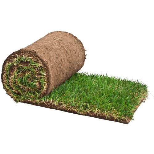 Tayyor gazon sotamiz o’rnatibxam beramiz | газон екиш