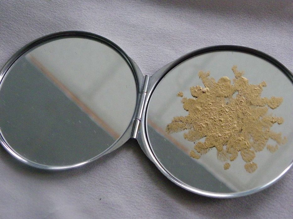 Пудриера, Южна Корея