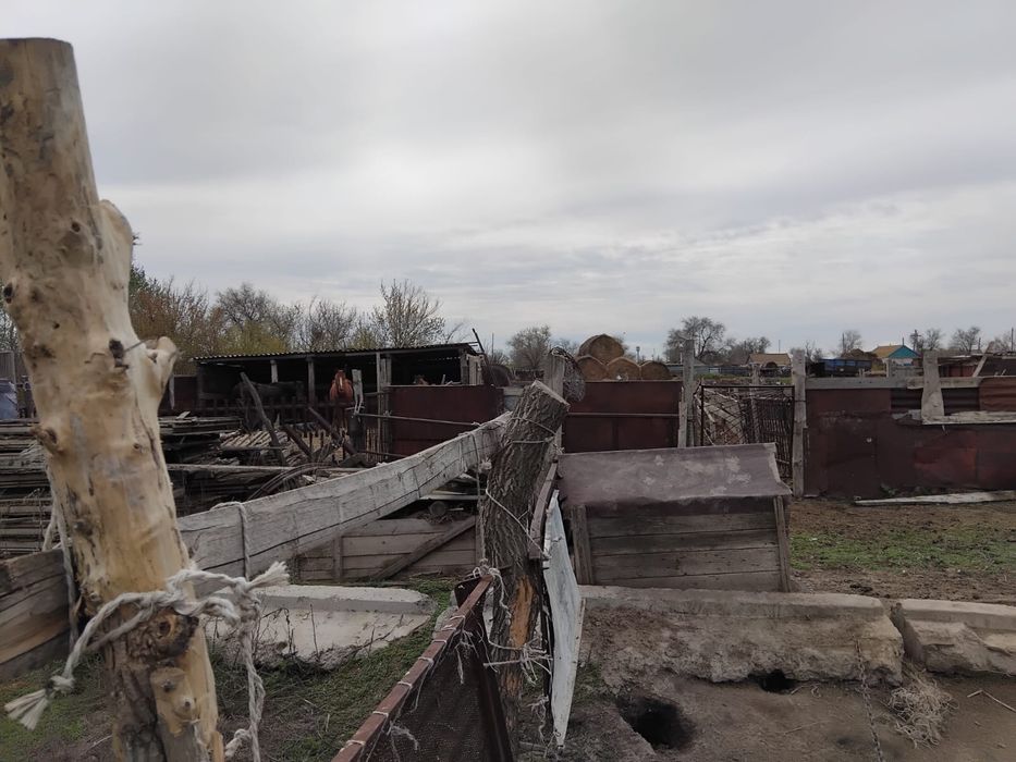 Продается дом в поселке