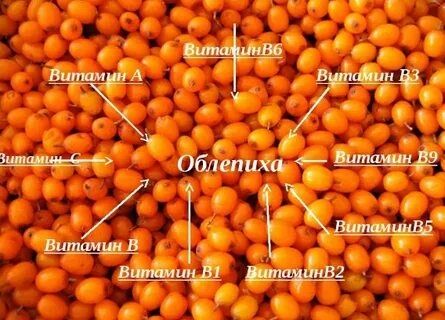 Продам концерт 1 литр тысяча тенге