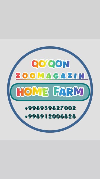 Qora tovuq joʻjalariga zakaz olamiz 6000 soʻmdan