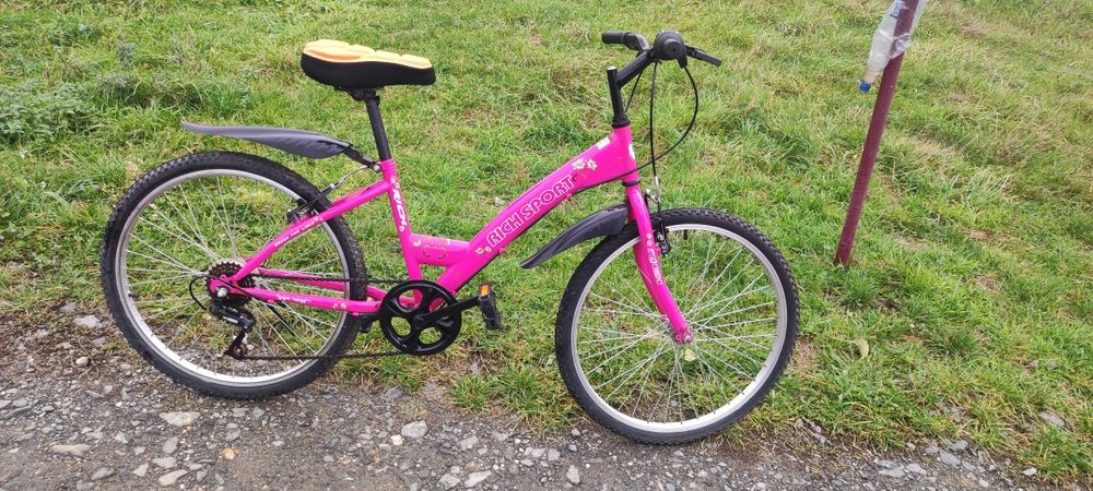 Bicicleta copii și adulți dama