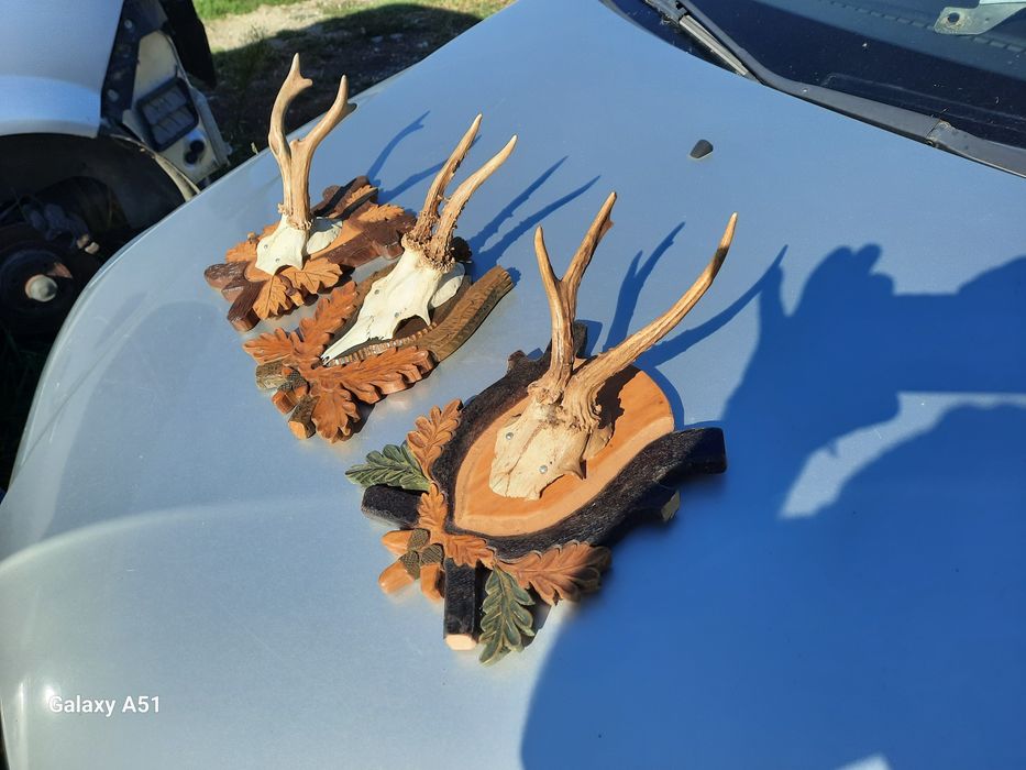 Елински рога. Трофей