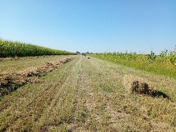 Baloți de lucernă coasa a3a