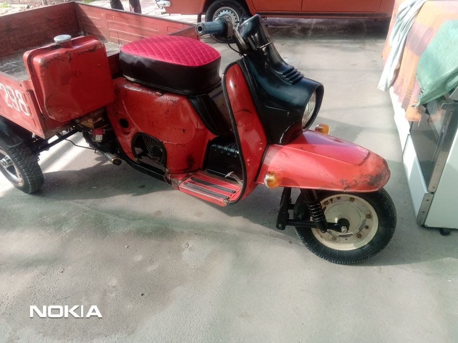 Муравей кизил радной