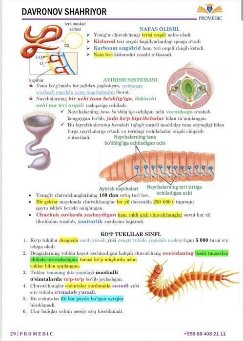 Kitoblar Milliy sertifikat uchun