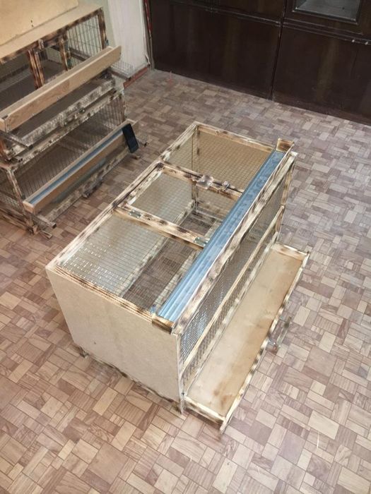 Для цыплят клетка