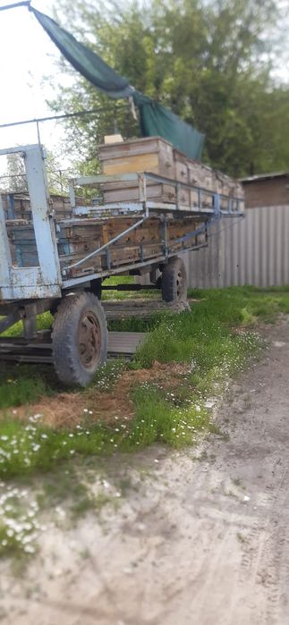 Тележка с пчелами