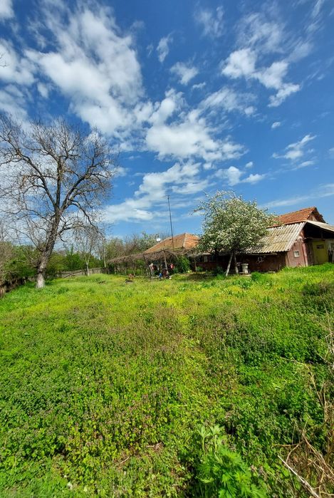 Vânzare teren cu casa batraneasca în  Merii Petchii, Ilfov
