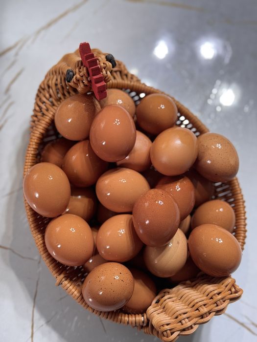 Яйцо домашнее / қолдың жұмыртқасы