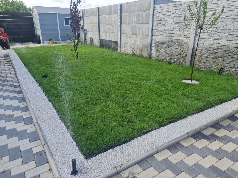 Gazon rulou /însămânțare