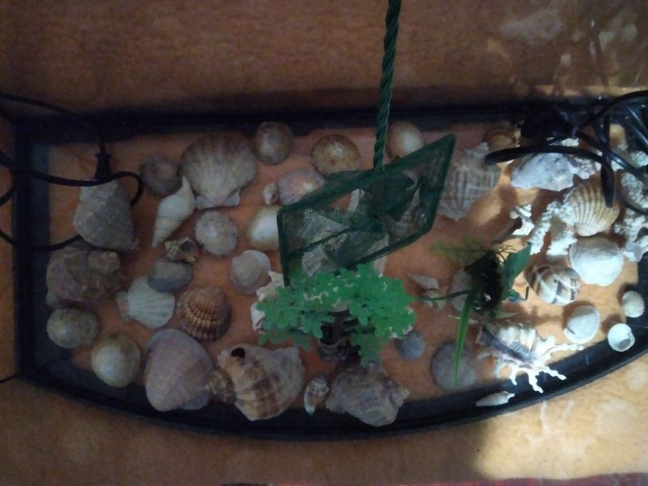 Vand acvariu cu filtru ciorpac incalzitor  cu termostat reglabil