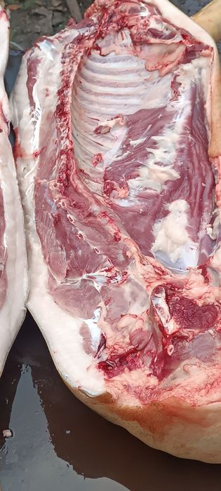 Продам мясо свинина