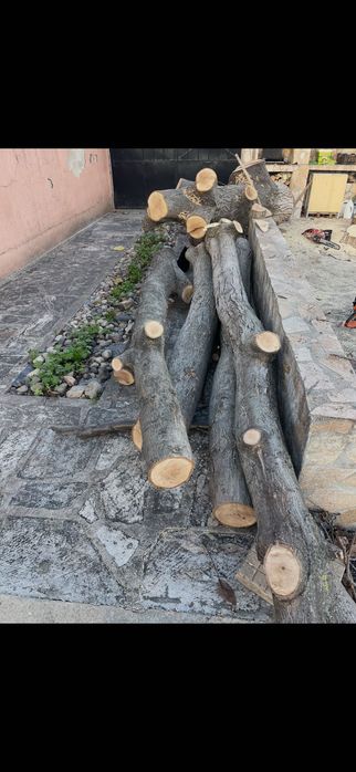 Шайби от орех различни размери