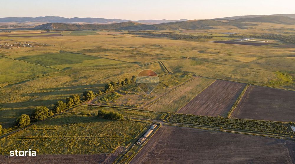 Teren extravilan 44.000 mp (4,4 ha) | Hărman | Comision 0%