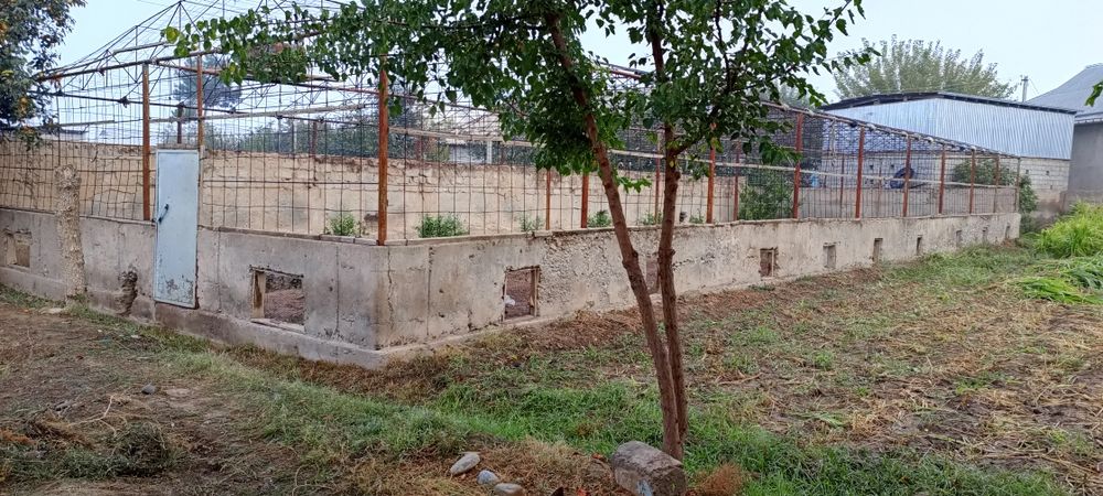 10 суток жой сотилади нархи келишилган холда