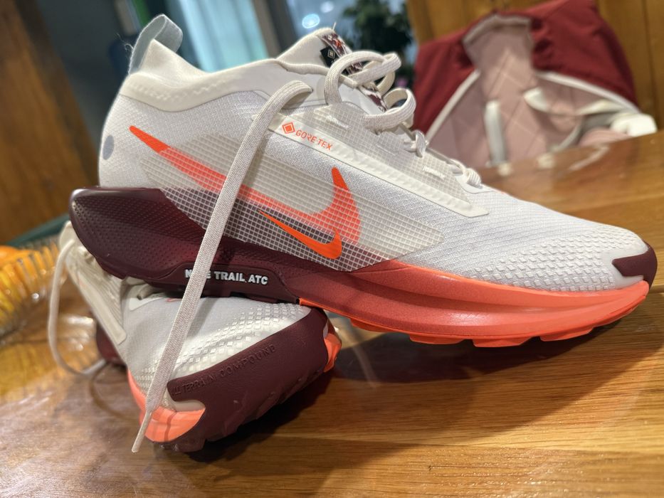 Nike Pegasus Trail 5 Gore-Tex