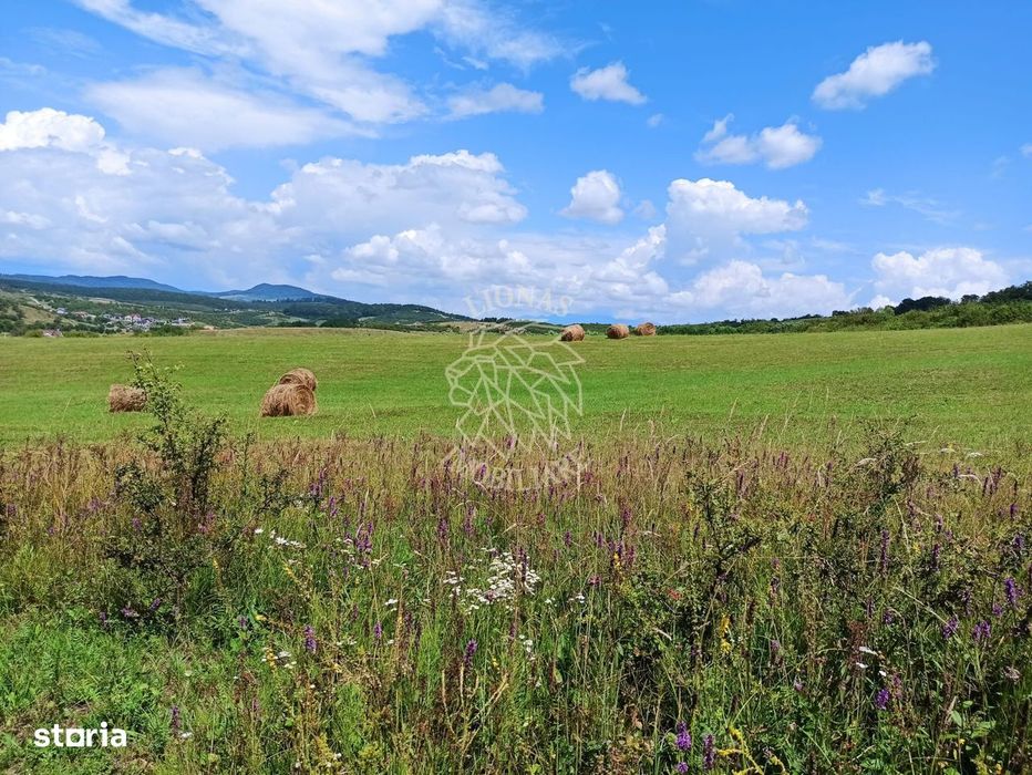Parcele teren 4038 mp - Parcelabil - Zona Valea Stanelor