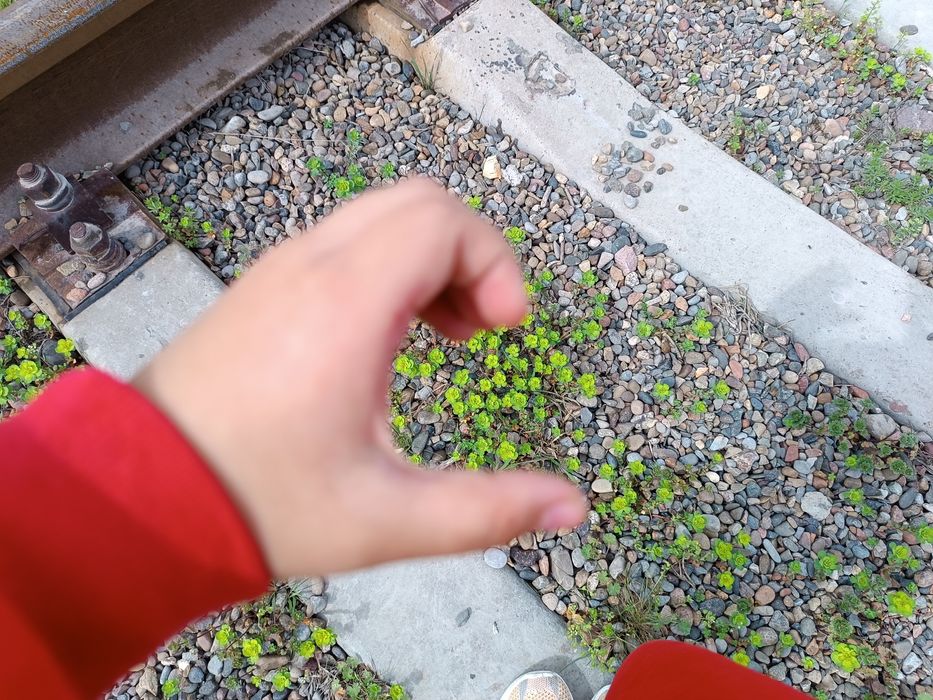 2107 moshinasi sotiladi