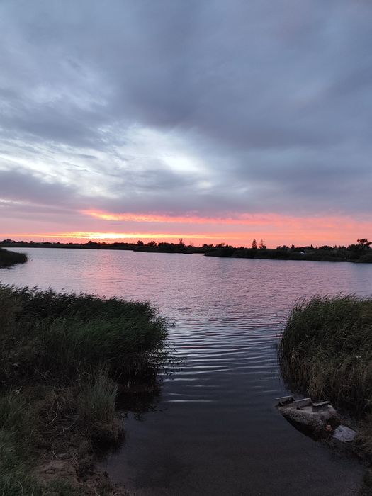 Продам дачу в Черёмушках рядом с речкой