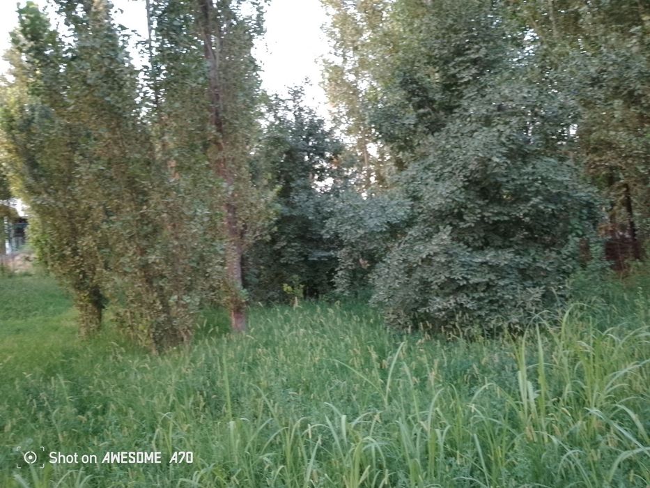 Quruq yer sotiladi 2 sotihdan boshlab 15 sotihgacha. Har sotih 10ming$