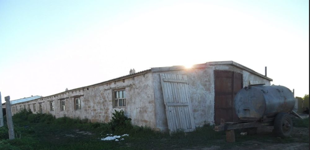 Животноводческое здание 1310 кв.м.