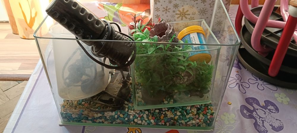 Acvariu 10 litri cu toate accesoriile